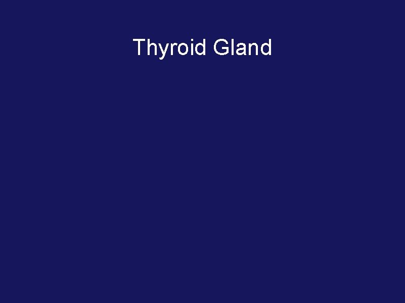 Thyroid Gland 