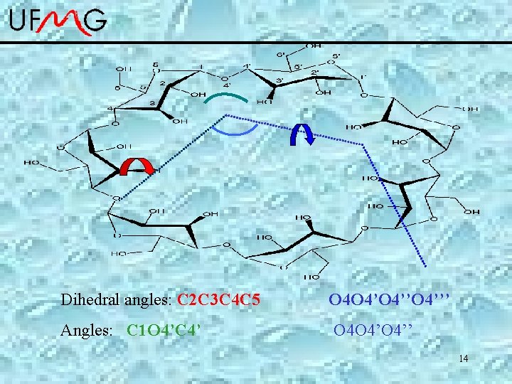 Dihedral angles: C 2 C 3 C 4 C 5 O 4 O 4’’O
