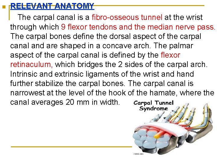 n RELEVANT ANATOMY The carpal canal is a fibro-osseous tunnel at the wrist through