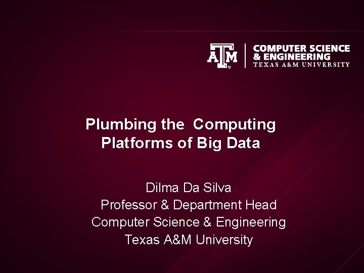 Plumbing the Computing Platforms of Big Data Dilma Da Silva Professor & Department Head