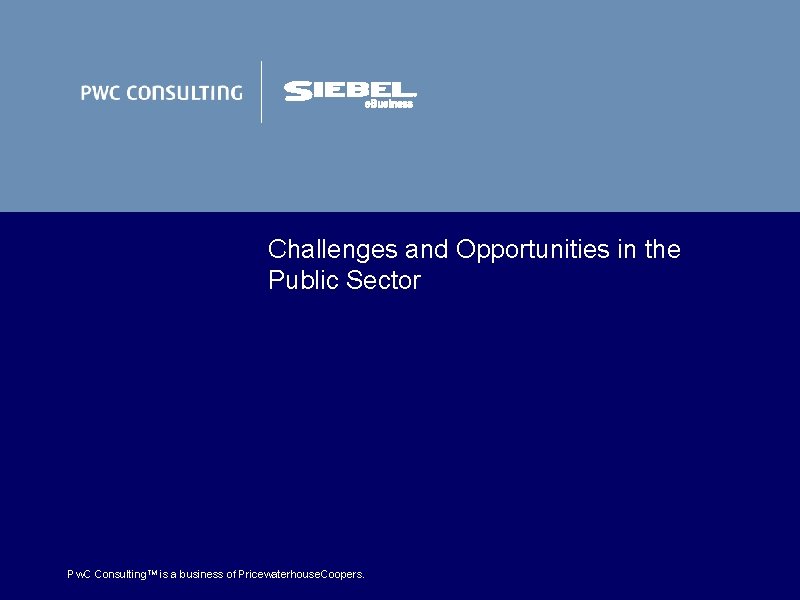 Challenges and Opportunities in the Public Sector Pw. C Consulting. TM is a business Challenges and Opportunities in the Public Sector Pw. C Consulting. TM is a business