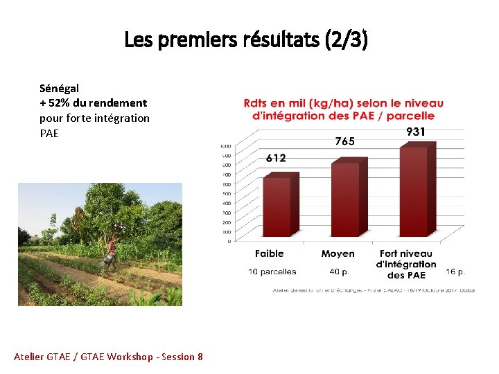 Les premiers résultats (2/3) Sénégal + 52% du rendement pour forte intégration PAE Atelier