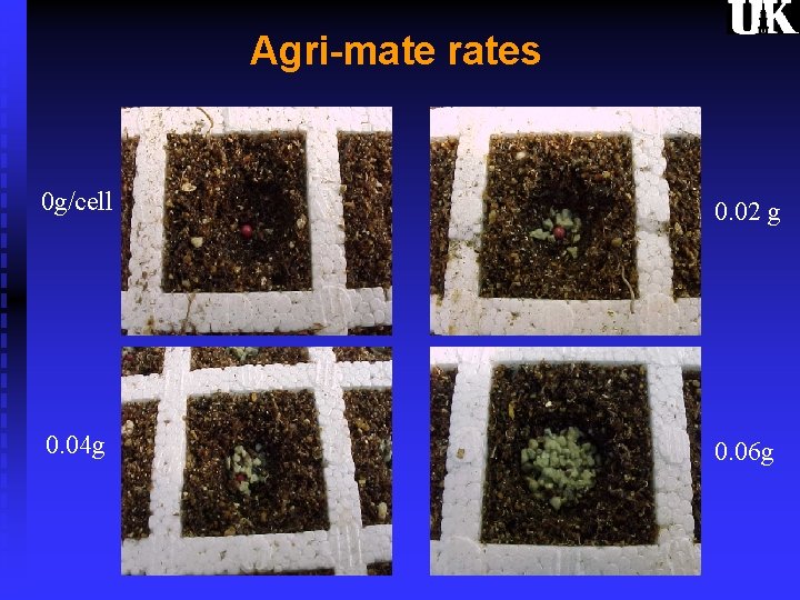 Agri-mate rates 0 g/cell 0. 02 g 0. 04 g 0. 06 g 