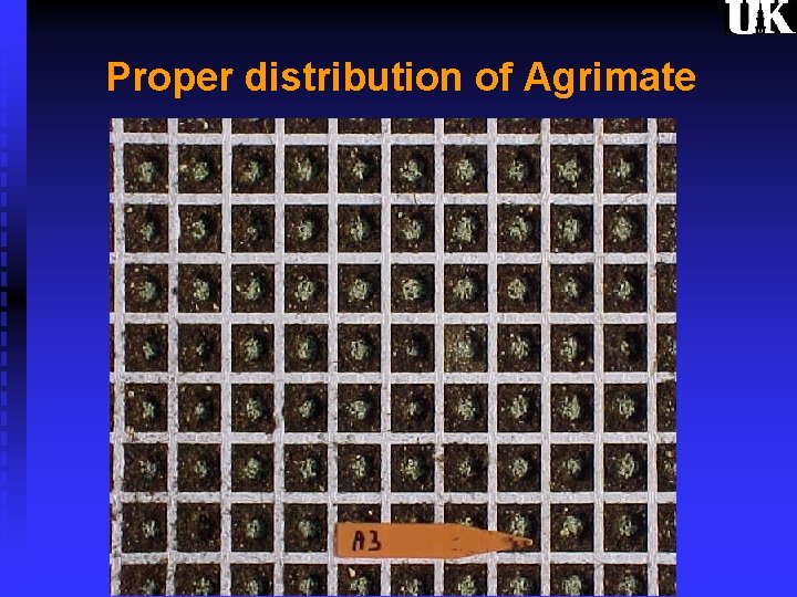 Proper distribution of Agrimate 