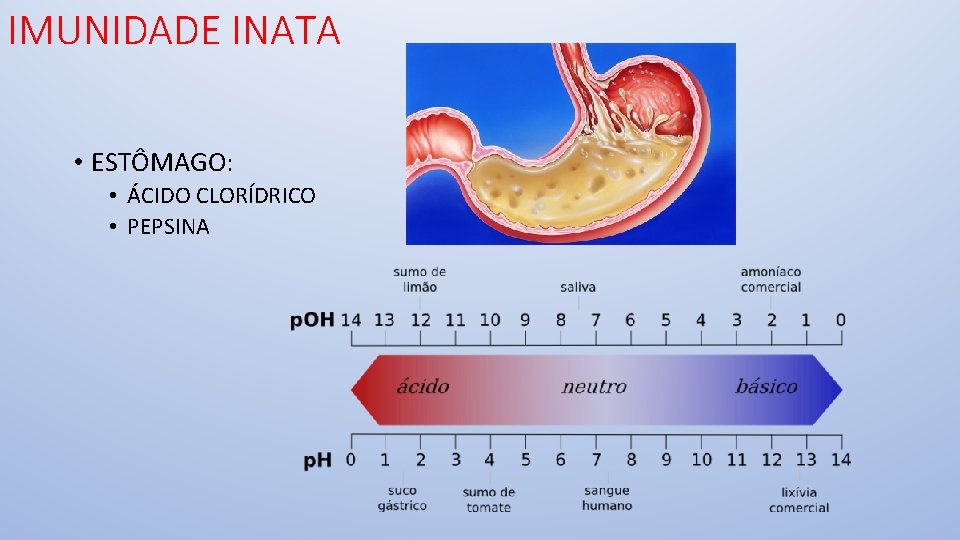 IMUNIDADE INATA • ESTÔMAGO: • ÁCIDO CLORÍDRICO • PEPSINA 