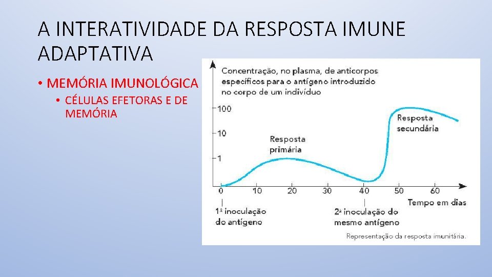 A INTERATIVIDADE DA RESPOSTA IMUNE ADAPTATIVA • MEMÓRIA IMUNOLÓGICA • CÉLULAS EFETORAS E DE