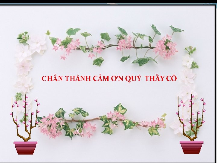 CH N THÀNH CẢM ƠN QUÝ THẦY CÔ 