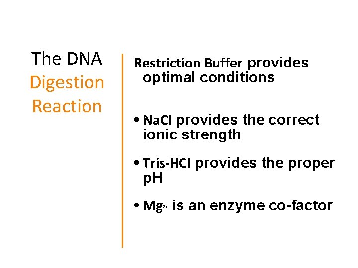 The DNA Digestion Reaction Restriction Buffer provides optimal conditions • Na. CI provides the