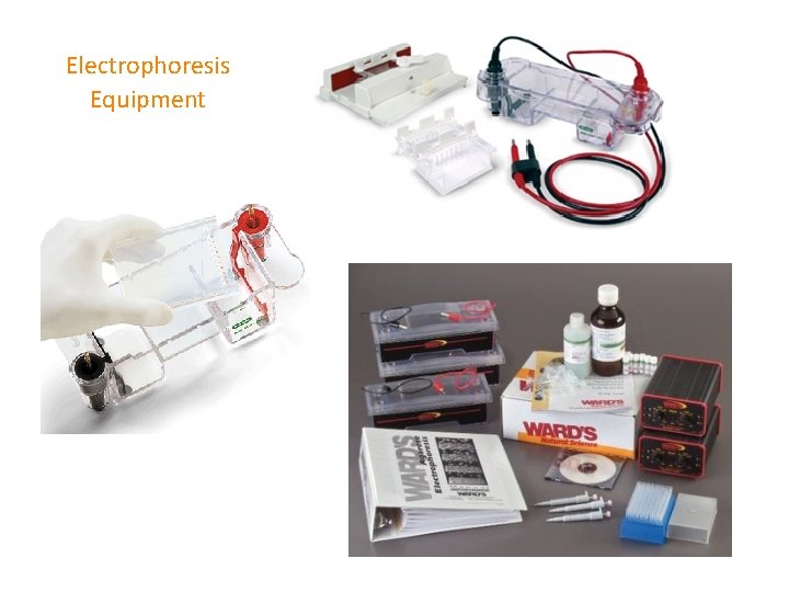 Electrophoresis Equipment 