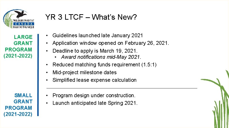 YR 3 LTCF – What’s New? LARGE GRANT PROGRAM (2021 -2022) • Guidelines launched