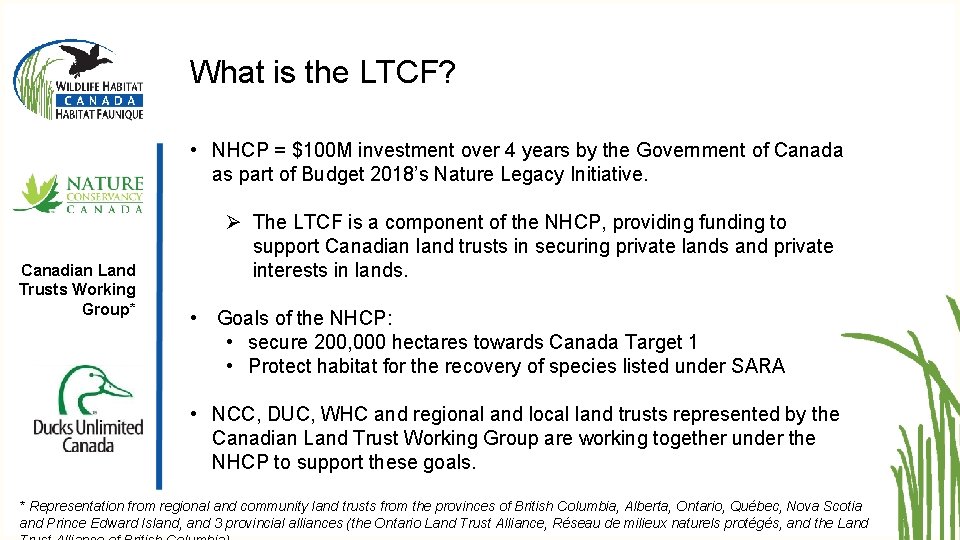 What is the LTCF? • NHCP = $100 M investment over 4 years by