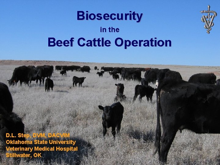 Biosecurity in the Beef Cattle Operation D. L. Step, DVM, DACVIM Oklahoma State University