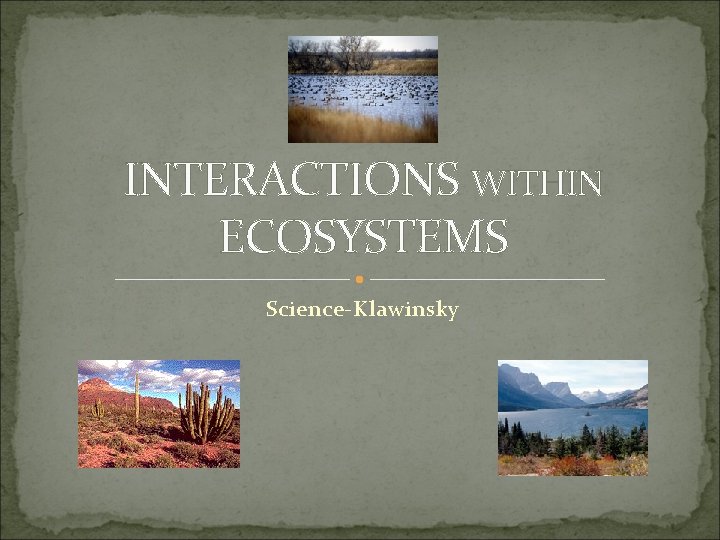 INTERACTIONS WITHIN ECOSYSTEMS Science-Klawinsky 