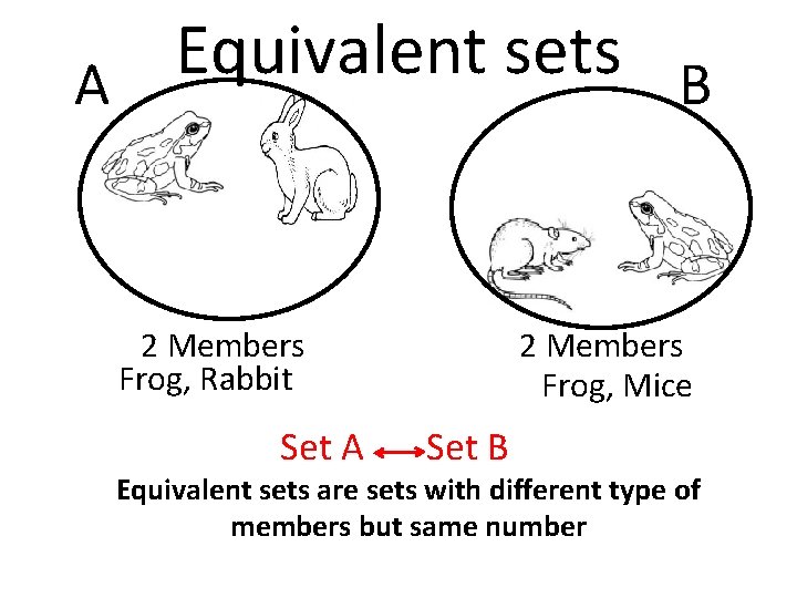 Equivalent sets A B 2 Members Frog, Rabbit Set A 2 Members Frog, Mice