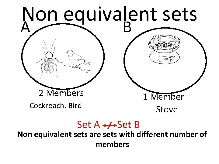 Non equivalent sets A B 2 Members 1 Member Stove Cockroach, Bird Set A