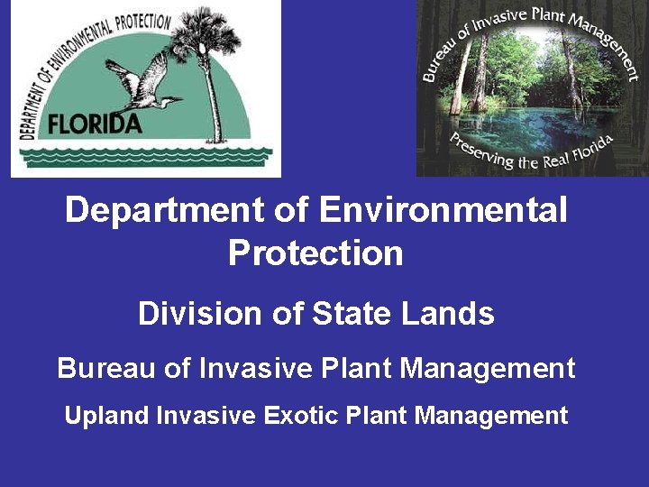 Department of Environmental Protection Division of State Lands Bureau of Invasive Plant Management Upland