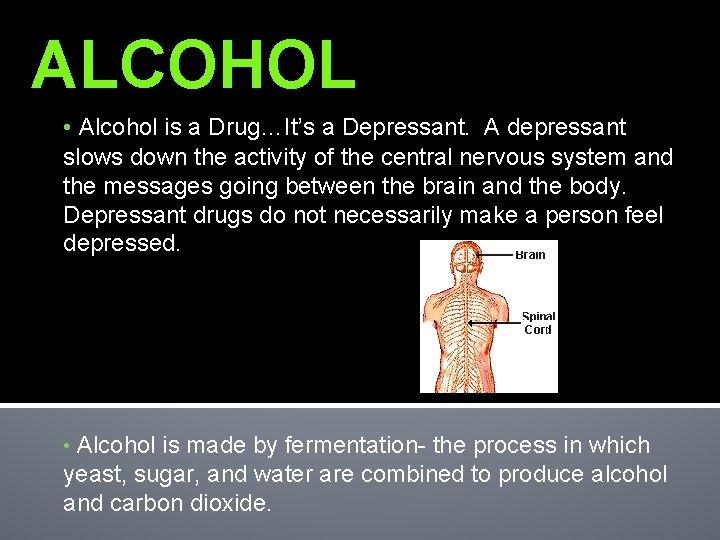 ALCOHOL • Alcohol is a Drug…It’s a Depressant. A depressant slows down the activity