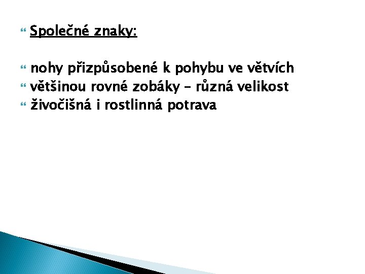  Společné znaky: nohy přizpůsobené k pohybu ve větvích většinou rovné zobáky – různá