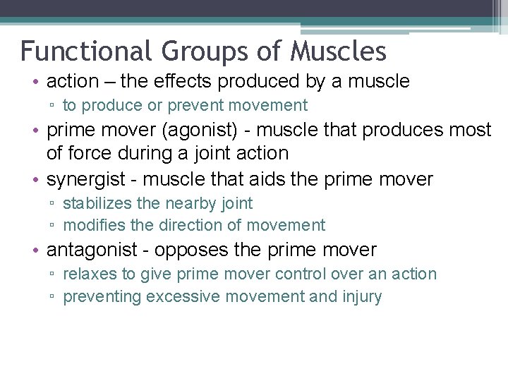 Functional Groups of Muscles • action – the effects produced by a muscle ▫