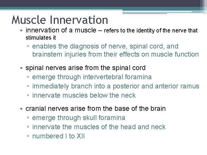 Muscle Innervation • innervation of a muscle – refers to the identity of the
