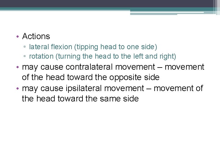  • Actions ▫ lateral flexion (tipping head to one side) ▫ rotation (turning