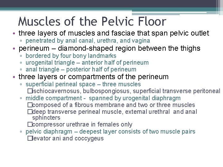 Muscles of the Pelvic Floor • three layers of muscles and fasciae that span