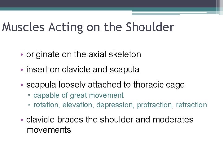 Muscles Acting on the Shoulder • originate on the axial skeleton • insert on