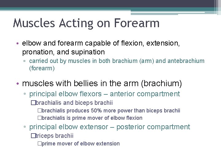Muscles Acting on Forearm • elbow and forearm capable of flexion, extension, pronation, and