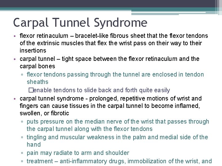 Carpal Tunnel Syndrome • flexor retinaculum – bracelet-like fibrous sheet that the flexor tendons