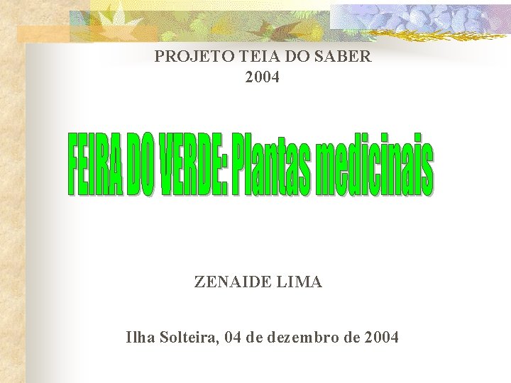 PROJETO TEIA DO SABER 2004 ZENAIDE LIMA Ilha Solteira, 04 de dezembro de 2004