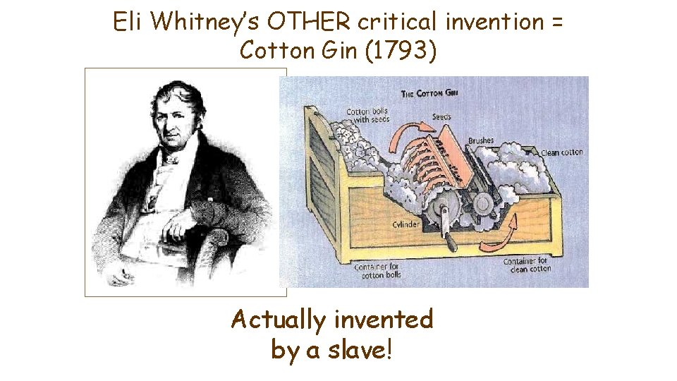 Eli Whitney’s OTHER critical invention = Cotton Gin (1793) Actually invented by a slave!