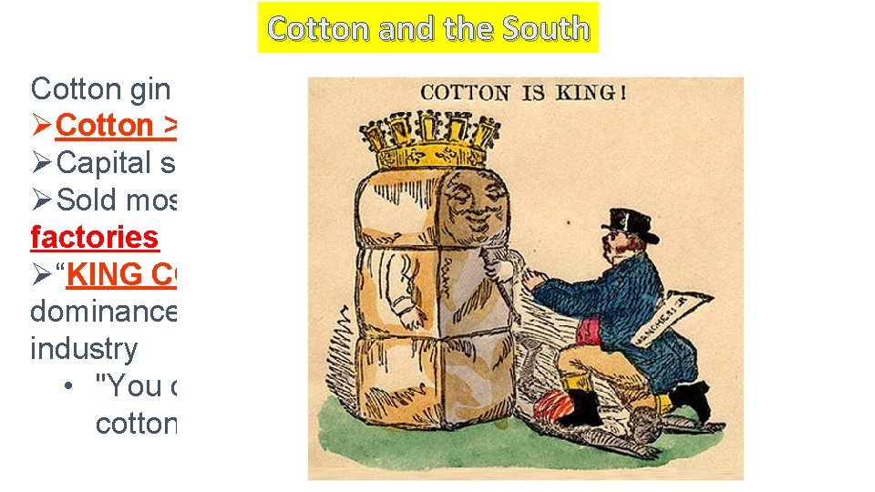 Cotton and the South Cotton gin transformed agriculture… ØCotton > tobacco and indigo ØCapital