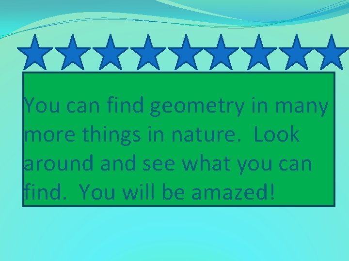 You can find geometry in many more things in nature. Look around and see