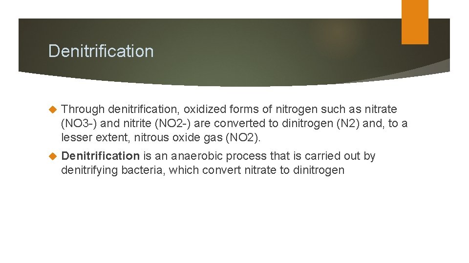 Denitrification Through denitrification, oxidized forms of nitrogen such as nitrate (NO 3 -) and