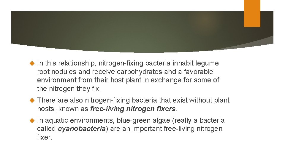  In this relationship, nitrogen-fixing bacteria inhabit legume root nodules and receive carbohydrates and