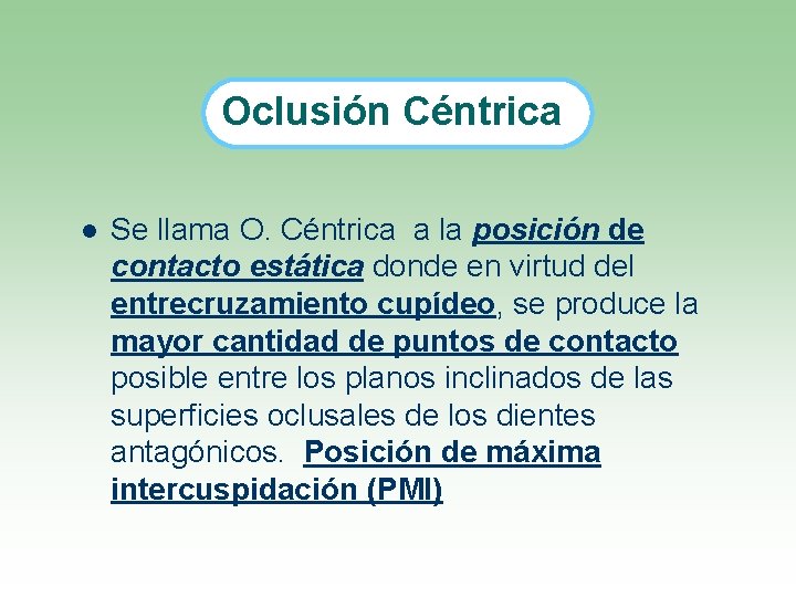Oclusión Céntrica l Se llama O. Céntrica a la posición de contacto estática donde