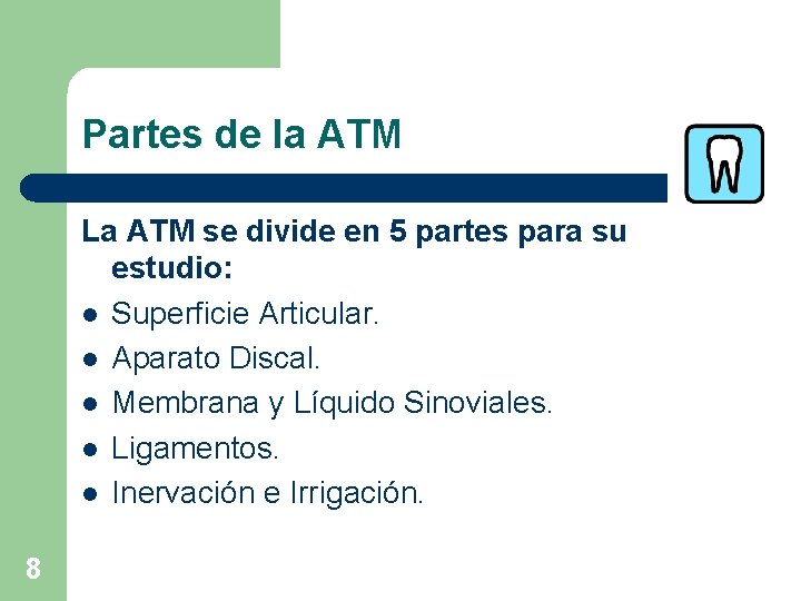 Partes de la ATM La ATM se divide en 5 partes para su estudio: