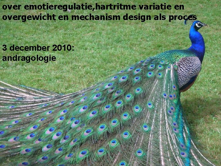 over emotieregulatie, hartritme variatie en overgewicht en mechanism design als proces 3 december 2010: