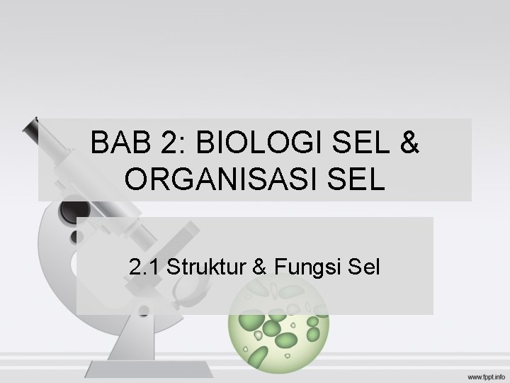 BAB 2: BIOLOGI SEL & ORGANISASI SEL 2. 1 Struktur & Fungsi Sel 