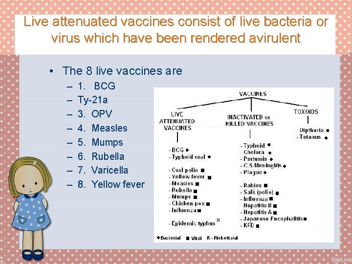 Live attenuated vaccines consist of live bacteria or virus which have been rendered avirulent
