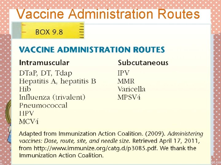 Vaccine Administration Routes Adapted from Immunization Action Coalition. (2009). Administering vaccines: Dose, route, site,