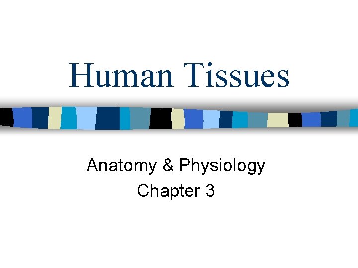 Human Tissues Anatomy & Physiology Chapter 3 
