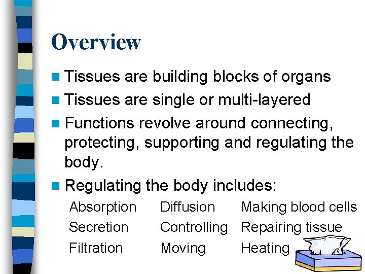 Overview n Tissues are building blocks of organs n Tissues are single or multi-layered