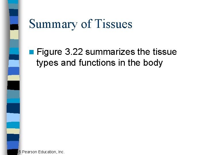 Summary of Tissues n Figure 3. 22 summarizes the tissue types and functions in
