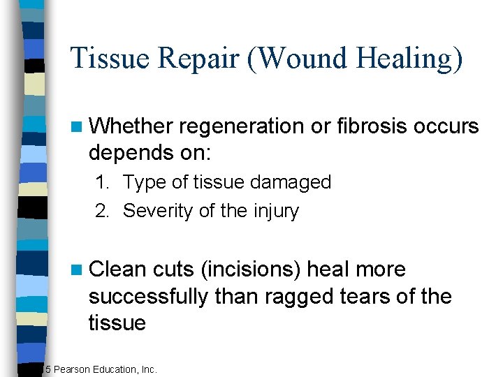 Tissue Repair (Wound Healing) n Whether regeneration or fibrosis occurs depends on: 1. Type