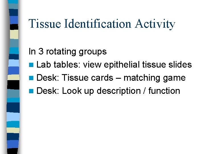 Tissue Identification Activity In 3 rotating groups n Lab tables: view epithelial tissue slides