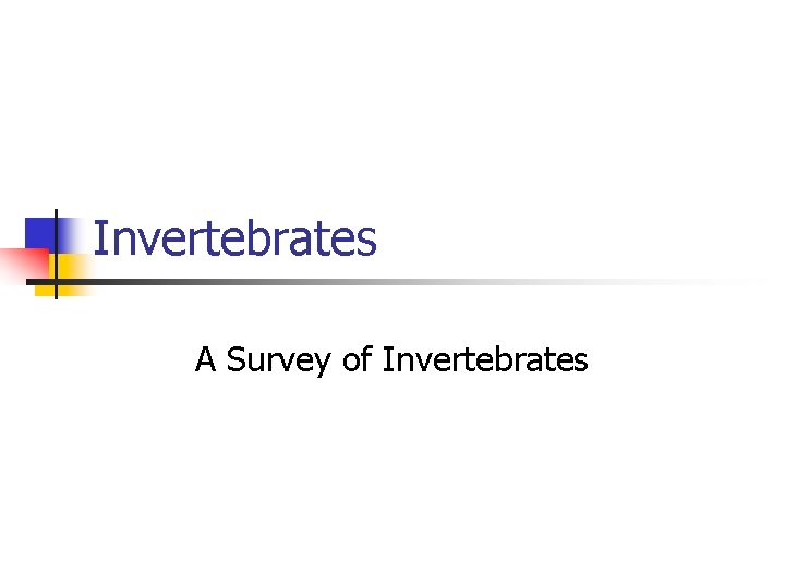 Invertebrates A Survey of Invertebrates 