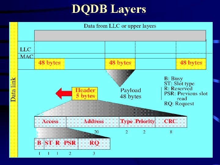 DQDB Layers DQDB Layers