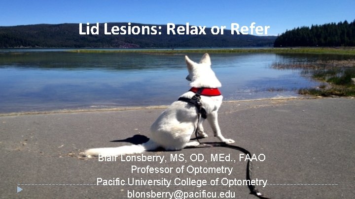 Lid Lesions: Relax or Refer Blair Lonsberry, MS, OD, MEd. , FAAO Professor of