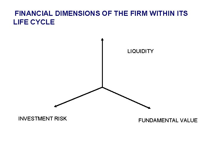 FINANCIAL DIMENSIONS OF THE FIRM WITHIN ITS LIFE CYCLE LIQUIDITY INVESTMENT RISK FUNDAMENTAL VALUE